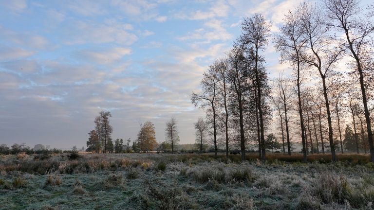 Op sommige plaatsen in het zuidoosten van Brabant leek het zaterdagochtend vroeg net winter (foto: Ben Saanen).