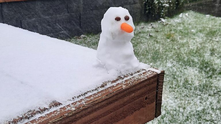 Sneeuwpop (foto: Maarten Clerx).
