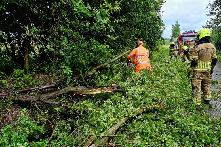 De boom viel in de Geverstraat in Haaren (foto: Toby de Kort/SQ Vision).