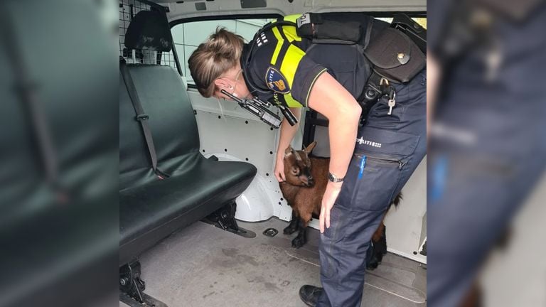 Foto: Instagram Politie Basisteam Langstraat.