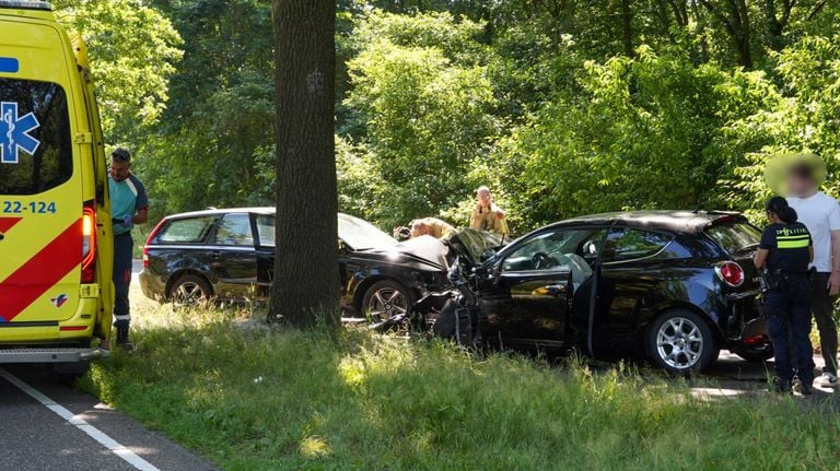 Foto: Harrie Grijseels / Persbureau Heitink