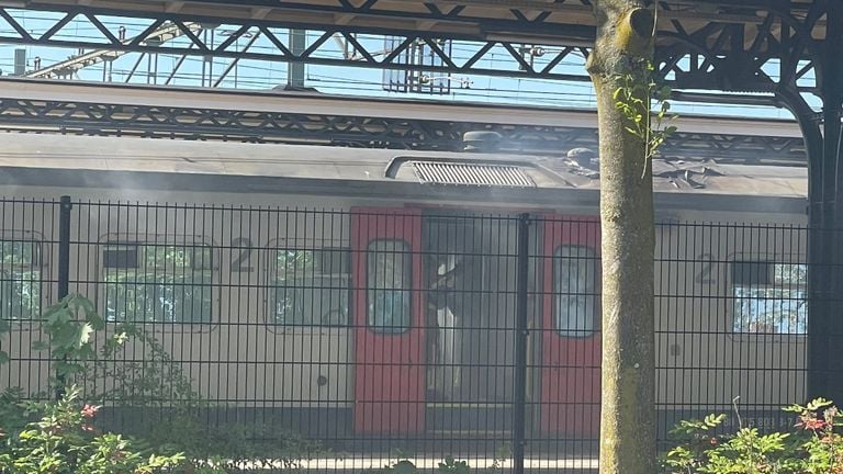 Foto: Danny van den Aarsen