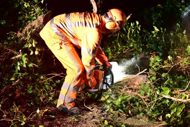 De brandweer zaagde de omgevallen boom op de Rakerstraat in Maarheeze in stukken (foto: Johan Bloemers/SQ Vision).