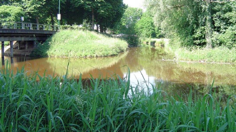 De aanwezigheid van de Maas had onmiskenbaar invloed op de natuur en het landschap bij Grave.