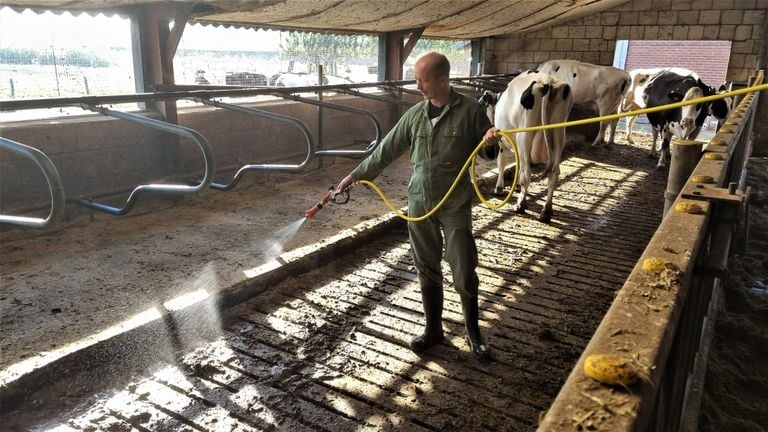 Edgar spuit het water met Kopros erin op de stalvloer (foto: Collin Beijk).