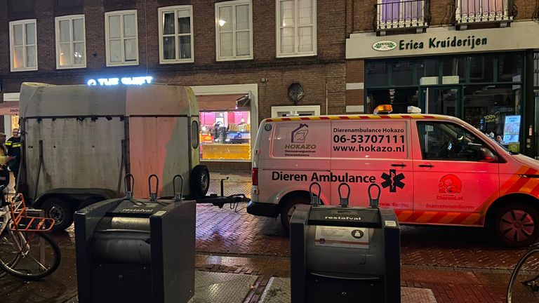 Foto: Dierenambulance Den Bosch.