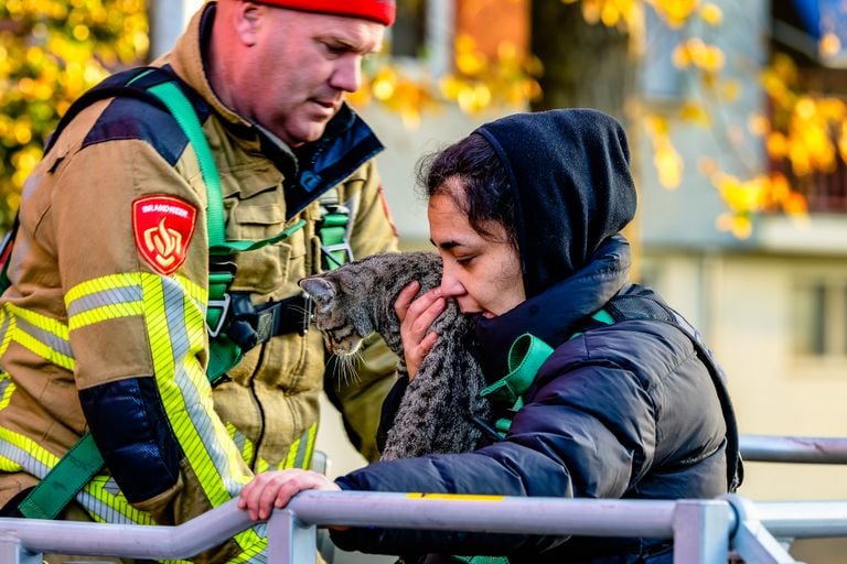 Brandweer redt kat uit de boom (foto: Jack Brekelmans/SQ Vision).