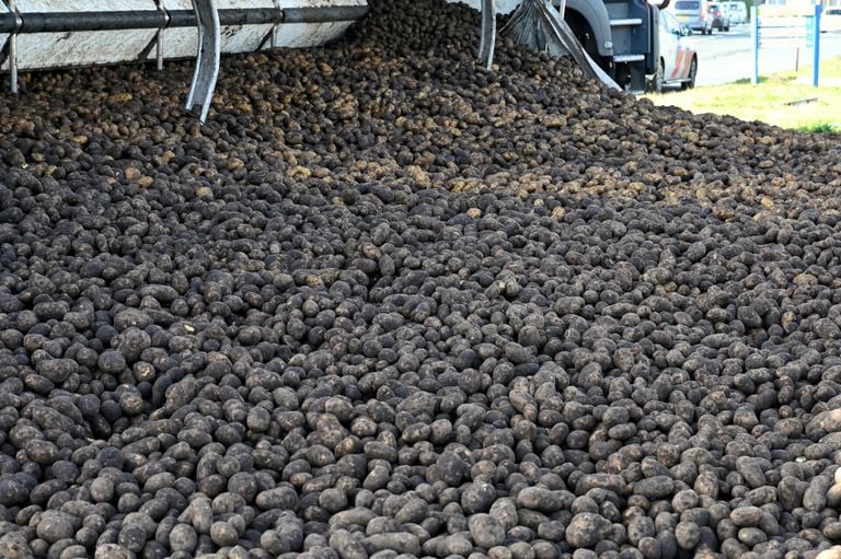 De aardappelen liggen op de weg (foto: Toby de Kort).