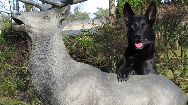 Normaal bewaakt de jongen het beeld (foto: Adriënne Vester).