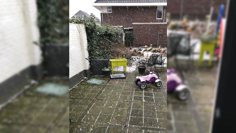 Sneeuw in Ulvenhout.