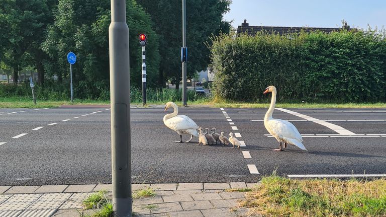 Foto: Marijke Snel-Van Asperen