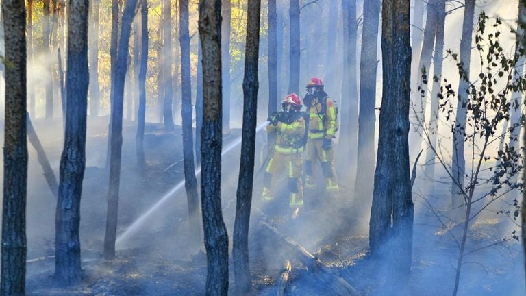 Foto: Rico Vogels/Persbureau Heitink.