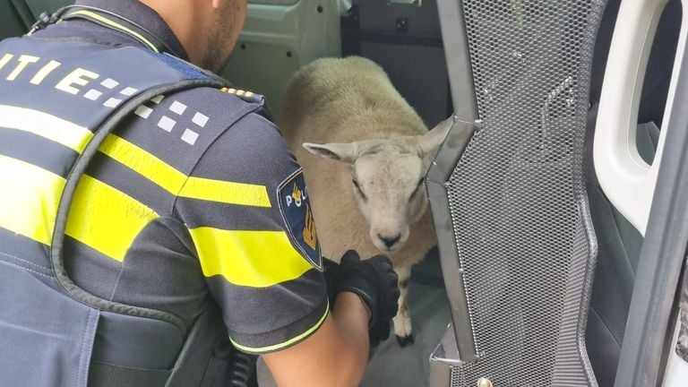Foto: Facebook Politie Waalwijk - Loon op Zand