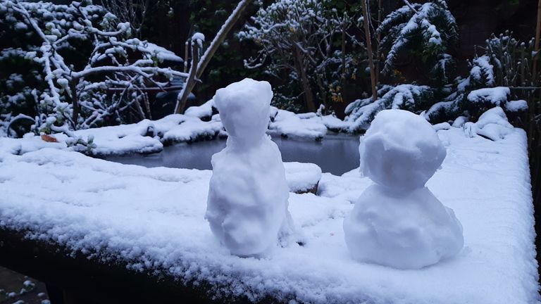 Kleine sneeuwpopjes van het laagje sneeuw dat donderdagnacht viel (foto: Jan van Oort).