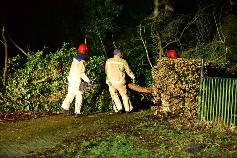 De omgevallen boom in Maarheeze moest door de brandweer in stukken worden gezaagd (foto: Johan Bloemers/SQ Vision).