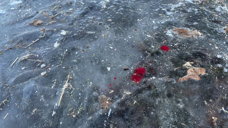 Bloedspetters op het ijs nadat er een schaatser doorheen is gezakt (foto: Alice van der Plas).