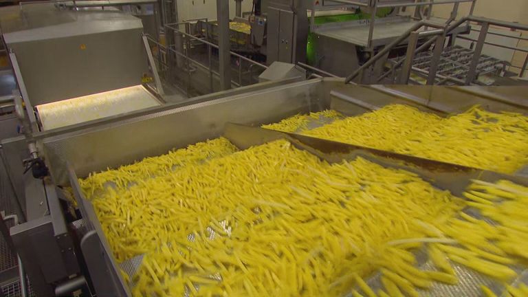 Frietjes rollen nog volop van de band bij Agristo in Tilburg (beeld: Omroep Brabant).