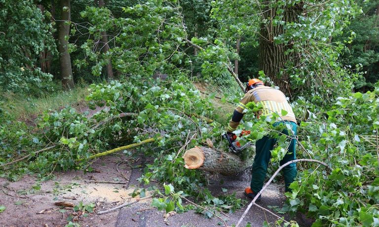 De brandweer zaagde de boom op de Essschebaan in stukken (foto: Bart Meesters).