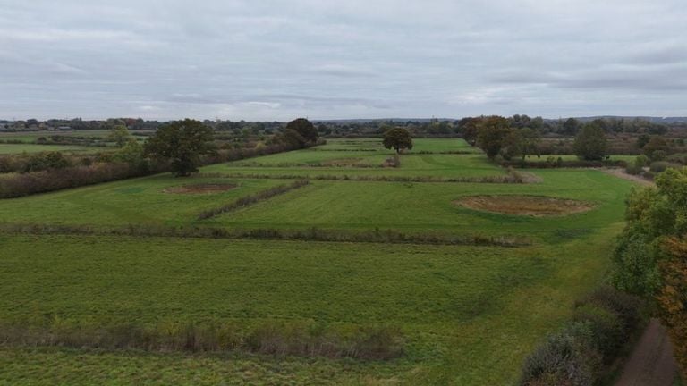 Dit was eerst landbouwgrond, maar is inmiddels vol met de Maasheggen (foto: Lars van Peij).