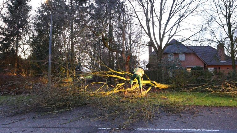 Boom over de weg aan de Dijk in Helvoirt (foto: Bart Meesters / SQ Vision).