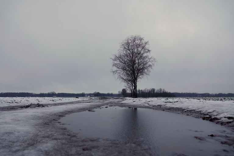 Een wit zuidoosten van Brabant (foto: Ben Saanen).