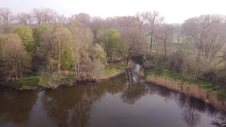 Hier zie rechts boven het het begin van de vangpijp (foto: Rut Stokmans)