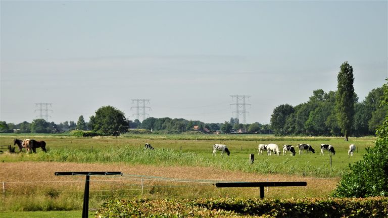 Foto: Henk Voermans.