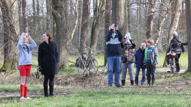 Bezoekers voor de wasbeer (foto: Bart Meesters).