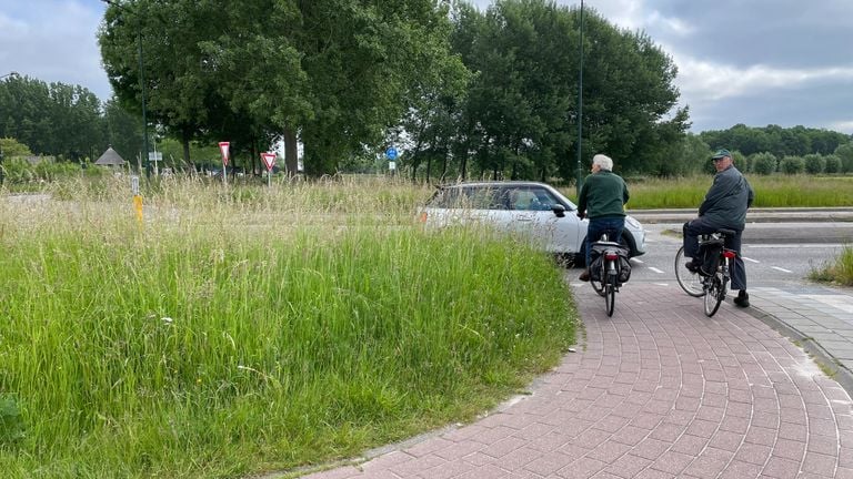 Hoog gras bij de rotonde in Schijndel (foto: Rochelle Moes/Omroep Brabant).