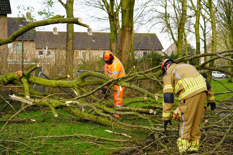 Na het in stukken zagen van de tak kon de weg worden vrijgegeven (foto: Jeroen Stuve/SQ Vision).