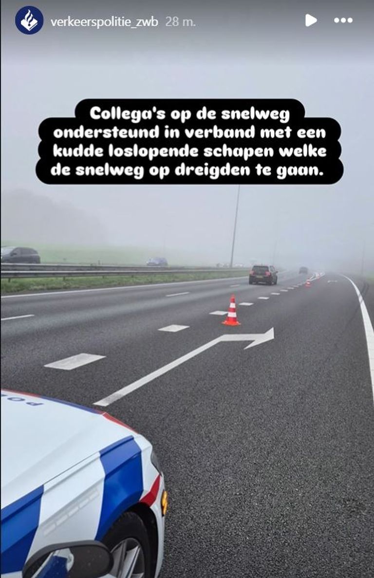 Foto: Instagram politie Zeeland-West-Brabant