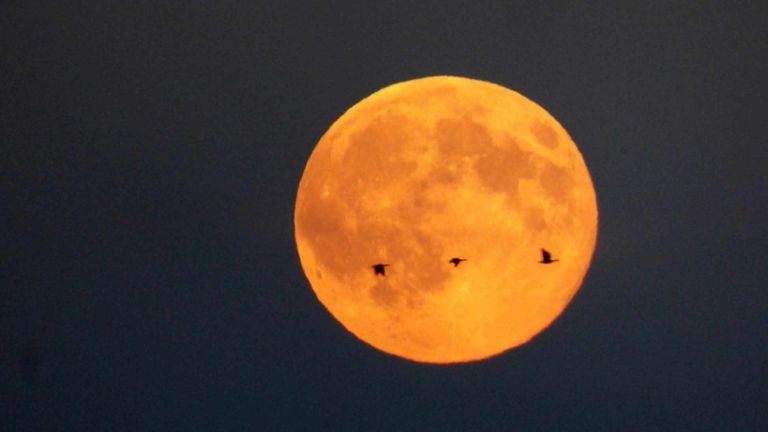 Foto: Ardy van Heesch-Van Kuijk. 