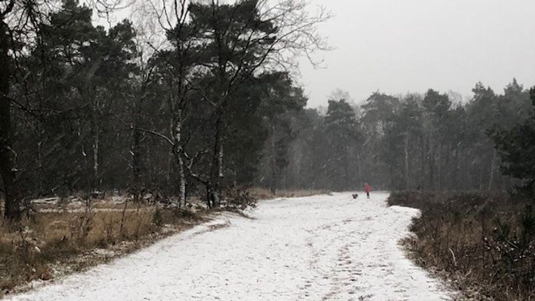 Ook de Vughtse Heide lag er idyllisch bij (foto: Miriam van de Hulsbeek).