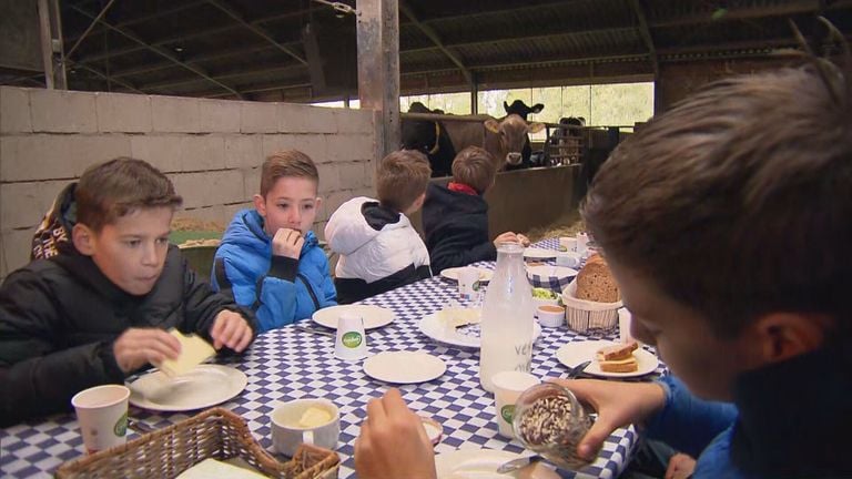 De leerlingen ontbijten tussen de koeien (foto: Omroep Brabant). 
