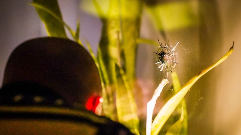 De beschieting in de Jan Heynslaan in Eindhoven vond rond halftwaalf donderdagavond plaats (foto: Sem van Rijssel/SQ Vision).