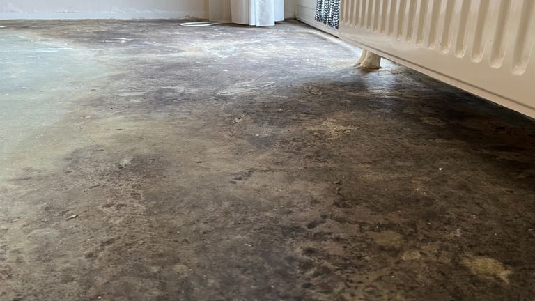Schimmelplekken op de vloer in de woning van Maria de Zeeuw (foto: Omroep Brabant).