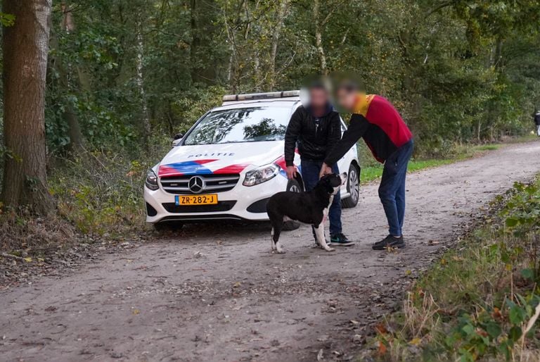 Busje met meerdere mensen botst tegen een boom (foto: Harrie Gijseel/SQ Vision).