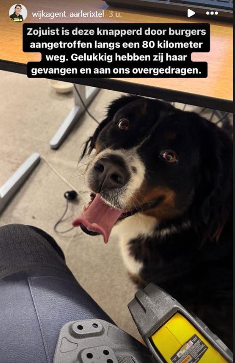 Foto: Instagram wijkagent Aarle-Rixtel