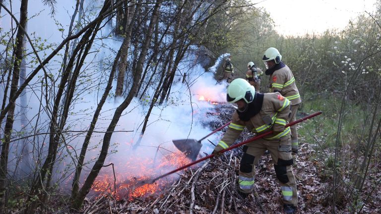 Met vuurzwepen probeert de brandweer te voorkomen dat de brand zich verspreidt. Foto: Bart Meesters/SQ Vision.