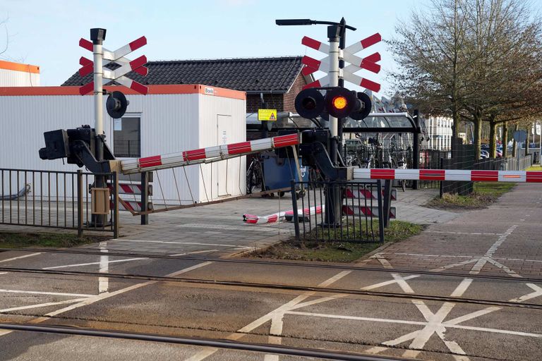 De afgebroken boom kwam een eind verderop terecht (foto: WdG/SQ Vision).