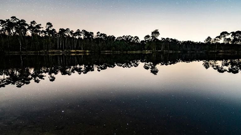 Een prachtige sterrenhemel boven natuurgebied de Kampina. (Foto: Rogier Lokven)