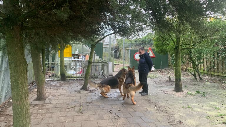 Gerda met haar eigen honden (foto: René van Hoof).