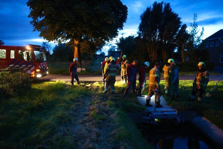 De eendenkuikens kwamen in de problemen bij een duiker aan het Laar in Berlicum (foto: Sander van Gils/SQ Vision).