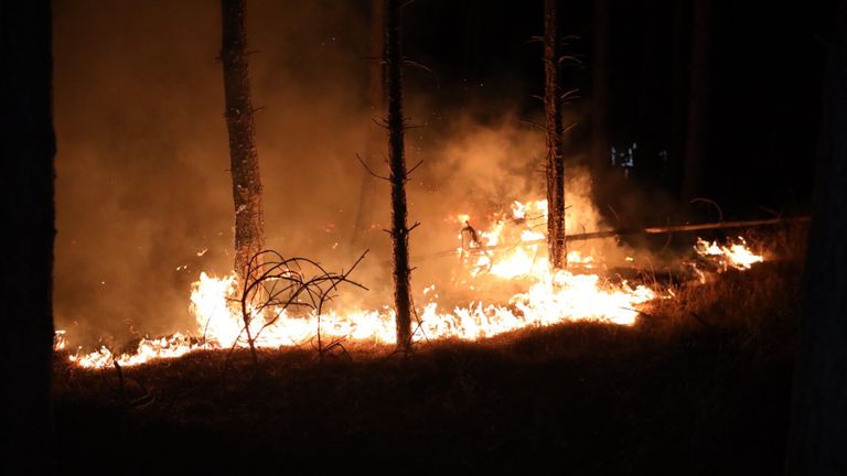 Het vuur woedde in een bosgebied aan de Schietbaanlaan in Best (foto: Sander van Gils/SQ Vision).