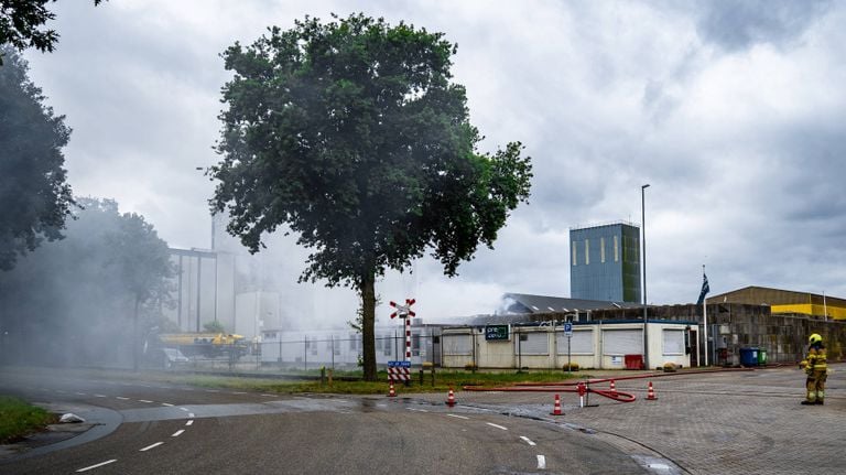 Foto: Lucas Lammers/Persbureau Heitink.