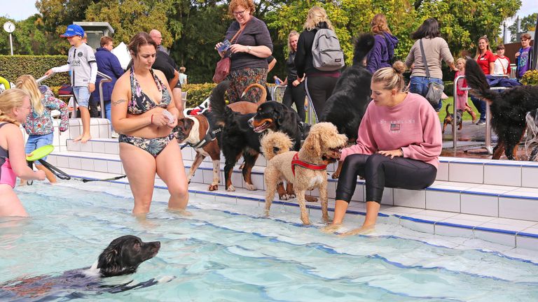 Zwemfeestje in het buitenbad van Stappegoor. (Foto: Karin Kamp)