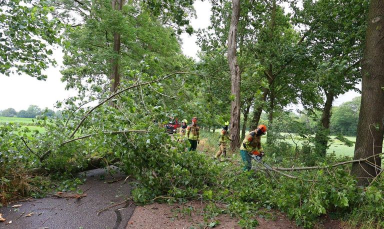 De tak brak af door de storm die over Nederland trekt (foto: Bart Meesters).