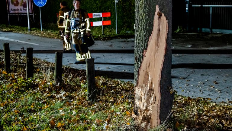 De automobilist raakte een boom naast de Turnhoutsebaan in Goirle (foto: Jack Brekelmans/SQ Vision).