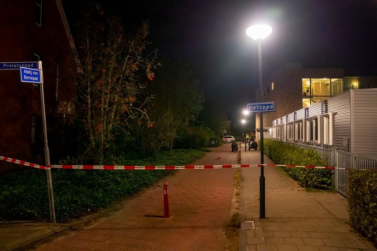 De schietpartij vond plaats vlakbij de Theresiaschool in Berlicum (foto: Gabor Heeres/SQ Vision).