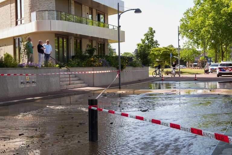 Foto: Harrie Grijseels / Persbureau Heitink